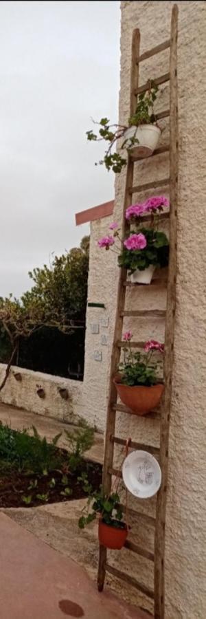 La Dimora Di Nonno Nuccio Ξενοδοχείο Ραγκούσα Εξωτερικό φωτογραφία