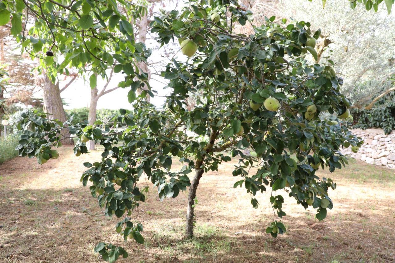 La Dimora Di Nonno Nuccio Ξενοδοχείο Ραγκούσα Εξωτερικό φωτογραφία