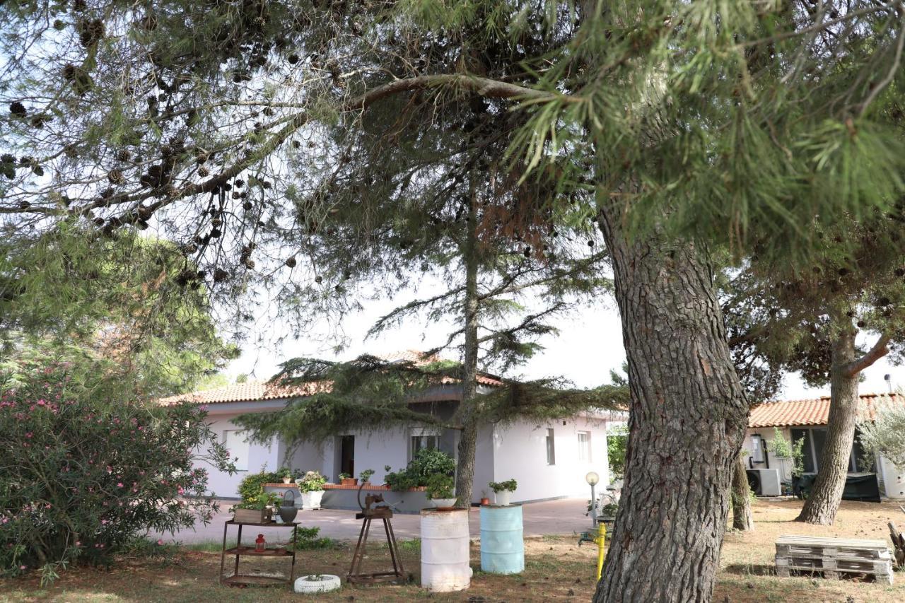 La Dimora Di Nonno Nuccio Ξενοδοχείο Ραγκούσα Εξωτερικό φωτογραφία